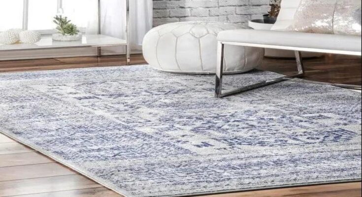 Why Do You Really Need AREA RUGS