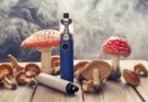 mushroom vape